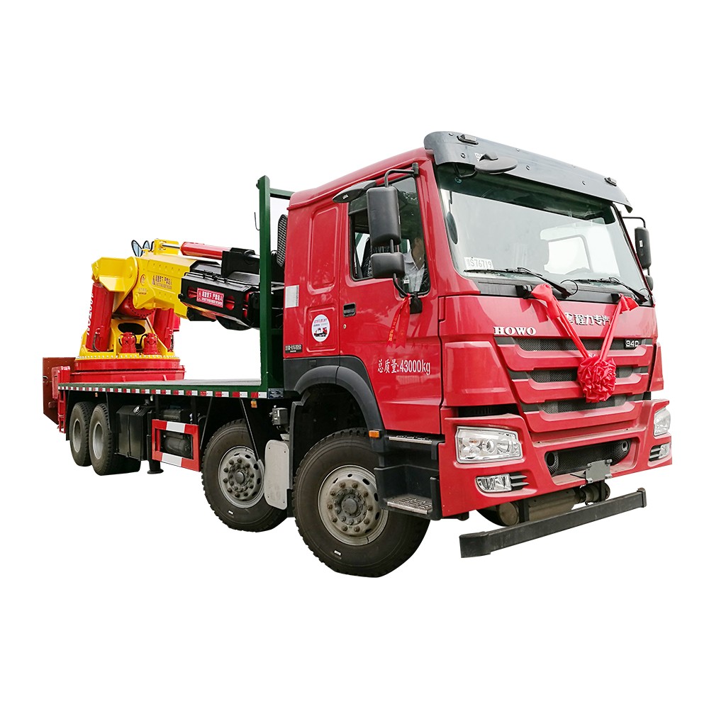 12 Wiel Vrachtwagen Kraan 25 Ton